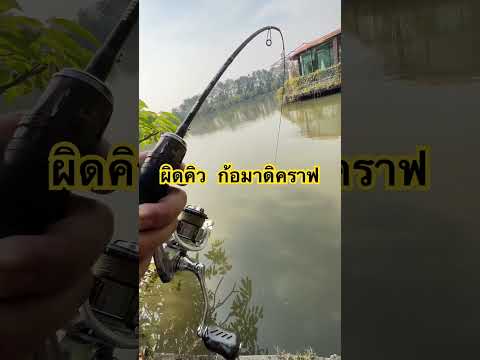 คันวีแบสULตัสจรี้ด