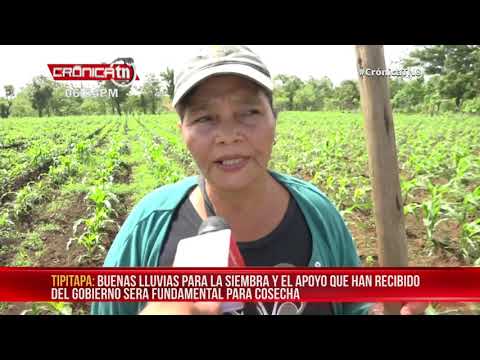 Destacan las buenas lluvias para la siembra en Tipitapa - Nicaragua