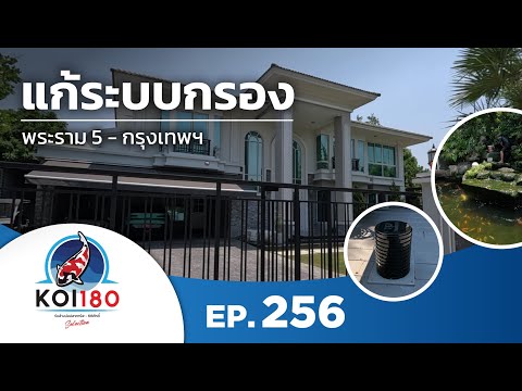 แก้ระบบกรองบ่อปลาพระราม5-นน