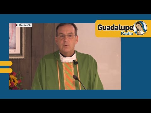 ¿Qué nos dice hoy la palabra de Dios?