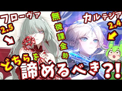 【鳴潮】新規＆「無微課金」勢向け！消滅＆増幅器の「フローヴァ」と無凸で最強キャラの「カルテジア」、どちらを諦めるべき？【ずんだもん,春日部つむぎ:VOICEVOX実況】#鳴潮,#プロジェクトWAVE