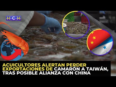 Acuicultores alertan perder exportaciones de camarón a Taiwán, tras posible alianza con China