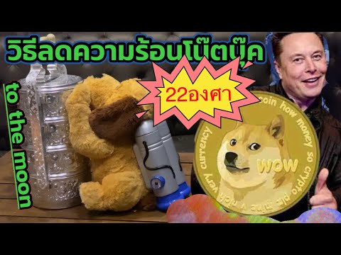 สอนขุดdogecoin-ด้วย-โปรแกรม-
T สอนขุดdogecoin-ด้วย-โปรแกรม-
T