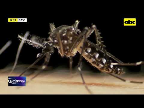 Fallecidos por dengue y covid en aumento