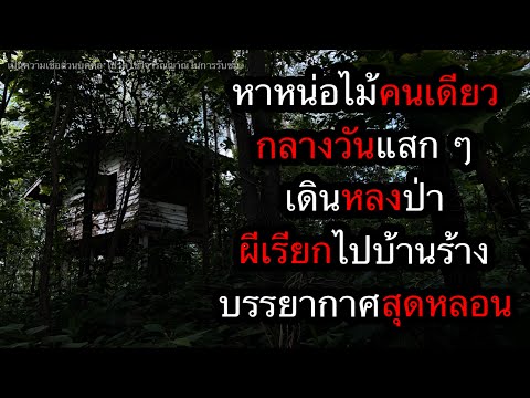 หาหน่อไม้คนเดียว-กลางวันแสก-ๆ- หาหน่อไม้คนเดียว-กลางวันแสก-ๆ-