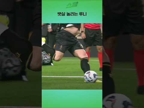 슈슈 뱃살 놀리는 루니