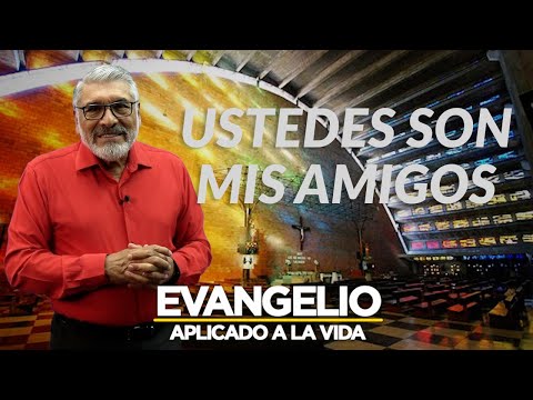 USTEDES SON MIS AMIGOS | Evangelio Aplicado (SAN JUAN 15, 9-17) - SALVADOR GOMEZ