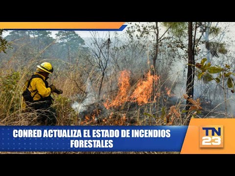 CONRED actualiza el estado de incendios forestales