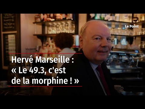 Hervé Marseille : « Le 49.3, c'est de la morphine ! »