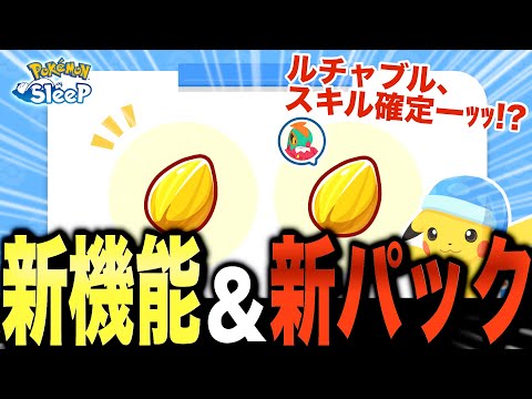 メインスキルのたねに新情報！さらにお得な新パックも増設！【Pokémon Sleep】