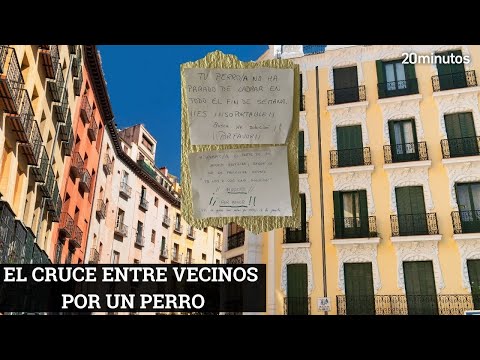 Vecinos discuten por los ladridos de un perro | VIRAL