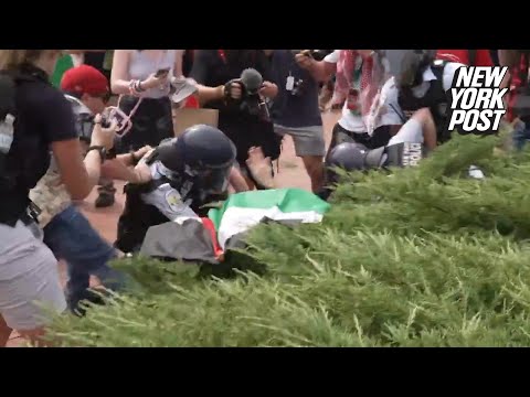 ‘Badly understaffed’ Park Police assaulted by ‘mob of thousands' at pro-Hamas riot in DC