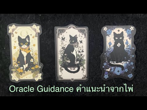 💖OracleGuidanceคำเเนะนำจากไ