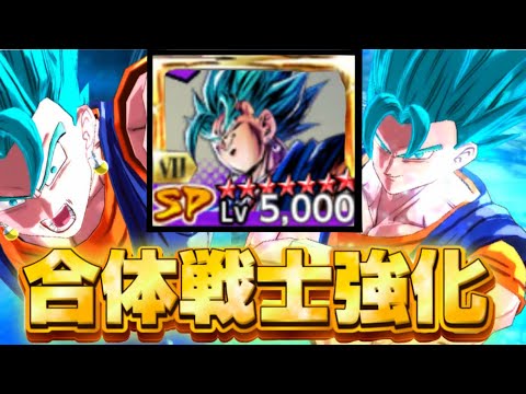 神です。それ以外の言葉が見つかりません。【ドラゴンボールレジェンズ】