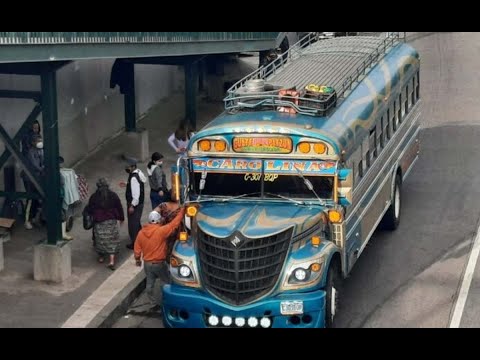 Sancionarán a dos líneas de buses de transporte urbano