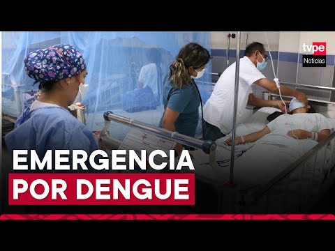 Dengue en Perú: cuatro regiones serán declaradas en emergencia