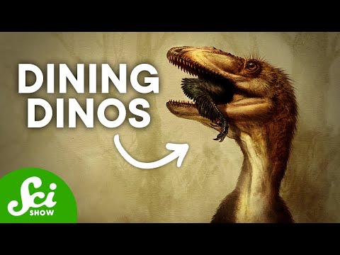 5 Dinosaur Dinners and What They Told Us