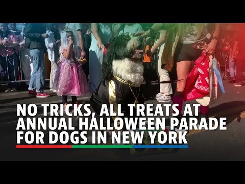 No tricks, all treats at annual Halloween parade for dogs in New York | ABS-CBN News