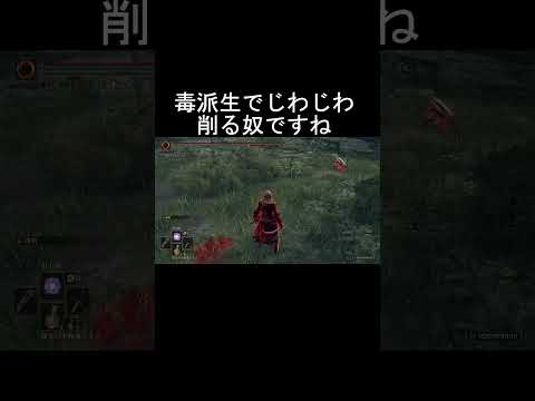 エルデンリング 地獄の侵入 海外タイマンガチ勢のタイマンを見る!  ELDEN RINGDLC #elden #eldenringdlc #ダクソ3