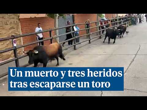 Un muerto y tres heridos, entre ellos una niña, tras escaparse un toro de un encierro en Pantoja