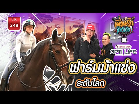 ฟาร์มม้าแข่งระดับโลกIเพื่อนร