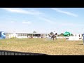 Show jumping horse te koop spring merrie voor de gedreven amateur