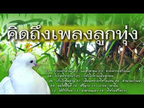 คิดถึงเพลงลูกทุ่งกราบเท้าย่าโ