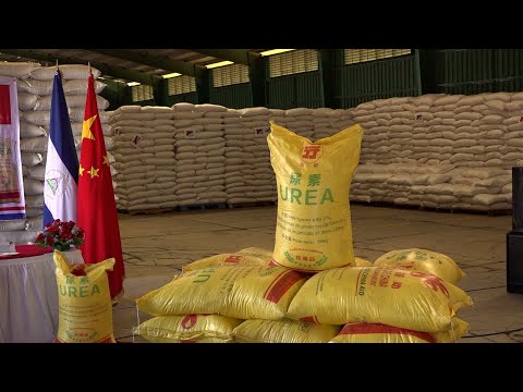Nicaragua recibe ayuda humanitaria de urea y trigo de China