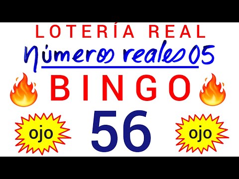 BINGO de HOY (( 56 )) lotería REAL de HOY /NÚMEROS de DINERO para HOY que MÁS SALEN en las LOTERÍAS