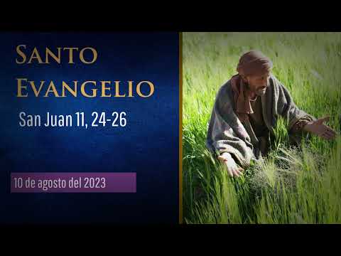 Evangelio del 10 de agosto del 2023 según san Juan 12, 24-26