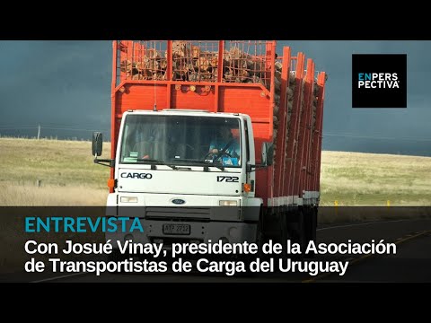 Josué Vinay (Transporte de Carga): no hay mecanismos para que el transporte sea efectivo y barato