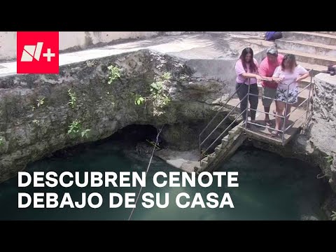 Familia descubre cenote bajo su casa en Yucatán - En Punto