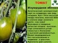 Помидоры: Сорта томатов. Овощи. Агротехника. Селекция.mpg