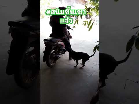 14มกราคมค.ศ.2025