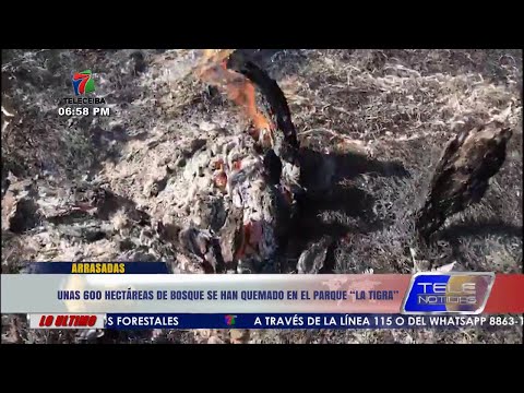 Unas 600 hectáreas de bosque se han quemado en el Parque Nacional La Tigra.