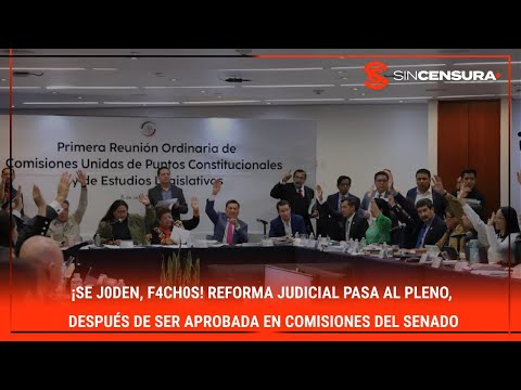 ¡SE J0D?N, F4CH0S! #ReformaJudicial PASA AL PLENO, después de ser aprobada en Comisiones del #Senado