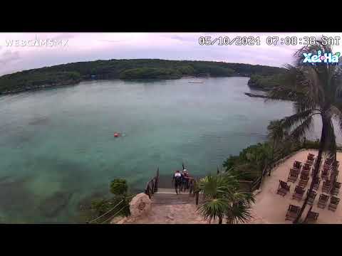 El Parque de Xel Ha, Quintana Roo, en vivo