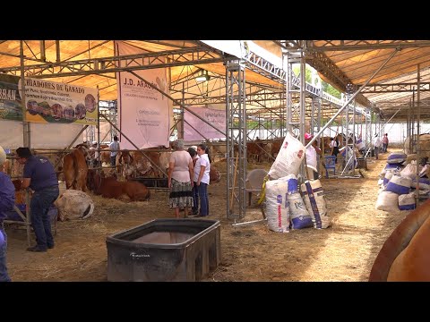 Nicaragua logra certificado para exportar carne a Costa Rica