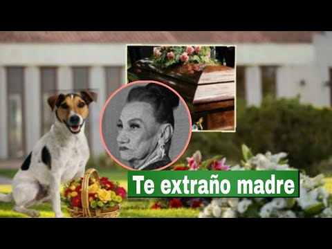 Pavel lleva al perro de La Gilbertona al cementerio para darle el último adios