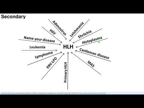 HLH (Haemophagocytic Lymphohistiocytosis) - Garrick Laudin