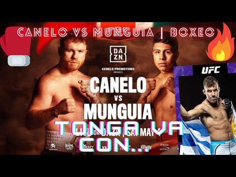 CANELO VS MUNGUIA, UFC Rio: esto se calienta ya