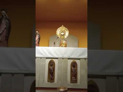 Adoración al Santísimo Sacramento del Altar con el Padre Fabian Esteban Oliva. 25/04/24