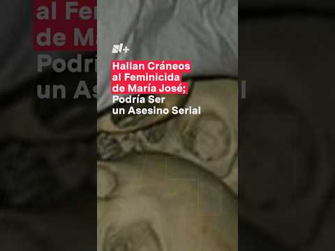 Hallan cráneos en el departamento del feminicida de María José #shorts #nmas
