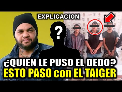 Quién le puso el dedo a El Taiger y por qué? ESTO PASO con El Taiger SALEN PRUEBAS y avance del caso