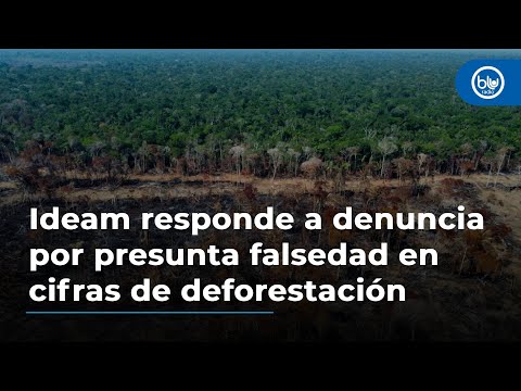 Ideam responde a denuncia por presunta falsedad en cifras de deforestación