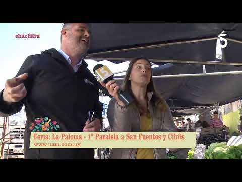 Pablo Pacheco - UAM - Feria: La Paloma  | Basta de Cháchara | 21-09-2022