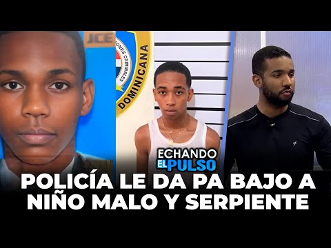 Momento en que la policía le da pa bajo a Niño Malo y serpiente en los alcarrizos | Echando El Pulso