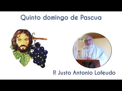 Quinto domingo de Pascua. P. Justo Antonio Lofeudo. (28.04.2024)