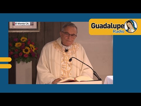 ¿Qué nos dice hoy la palabra de Dios?