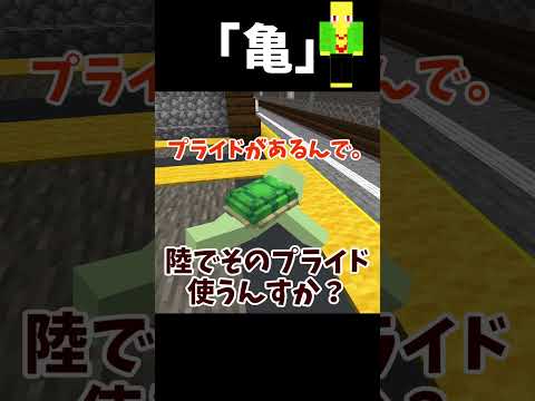亀をナメていたら...